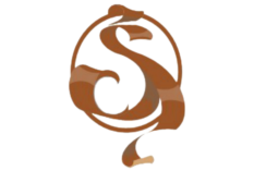 default-logo